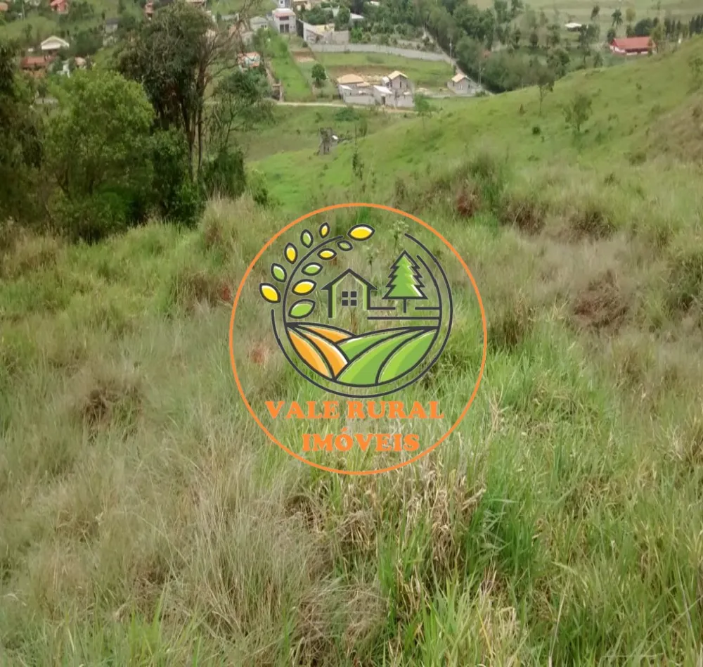 Terreno, 2 hectares - Foto 4