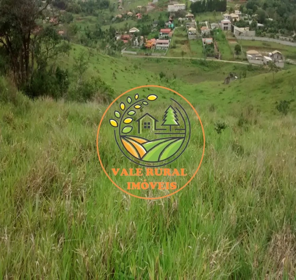 Terreno, 2 hectares - Foto 2