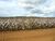 Fazenda-Sítio-Chácara - Foto 4