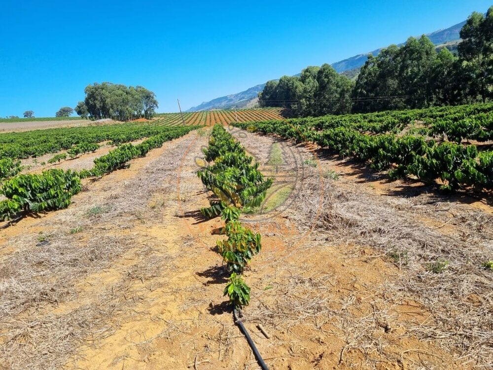 Fazenda - Foto 5