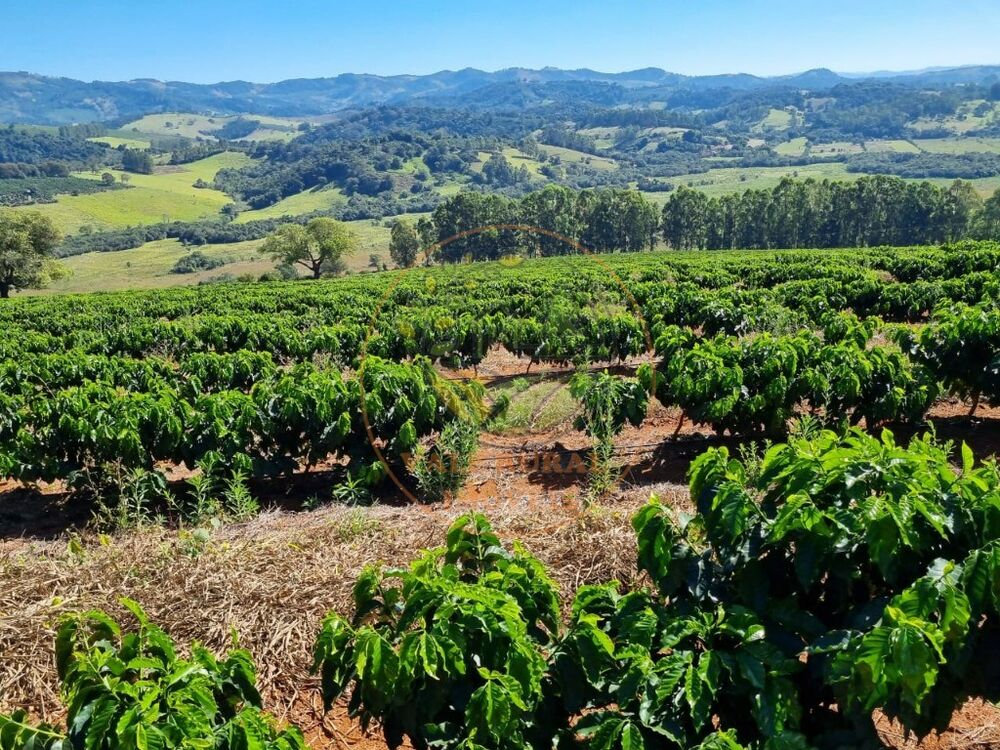 Fazenda - Foto 6