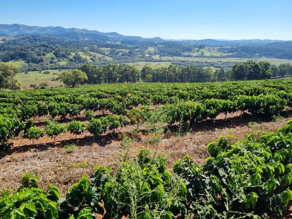 Fazenda - Foto 1