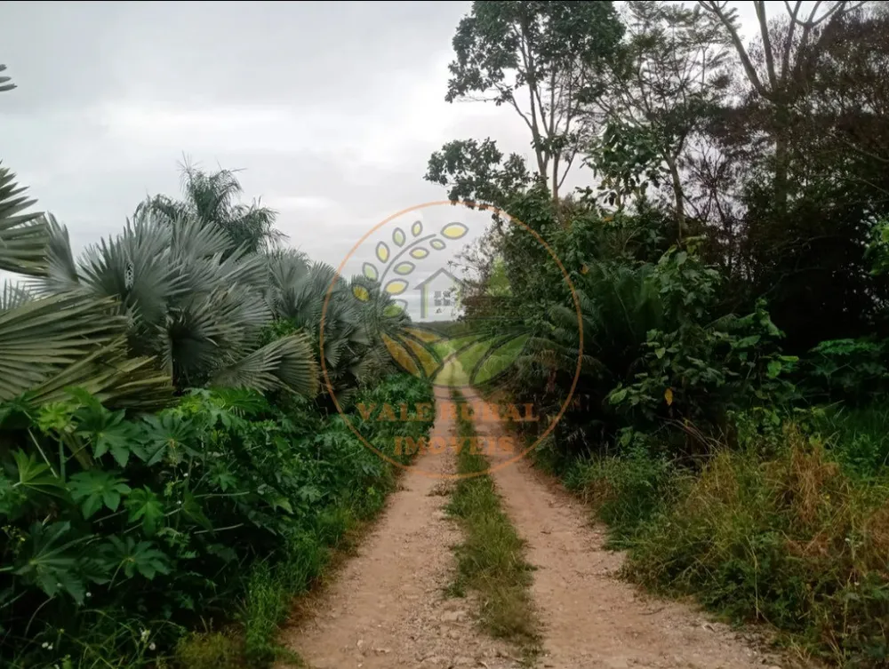 Fazenda - Foto 9