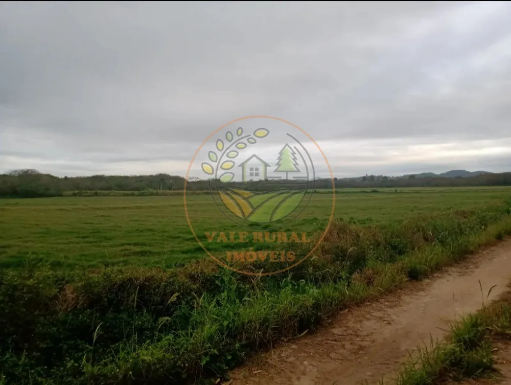 Fazenda - Foto 12