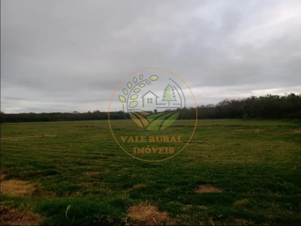 Fazenda - Foto 11