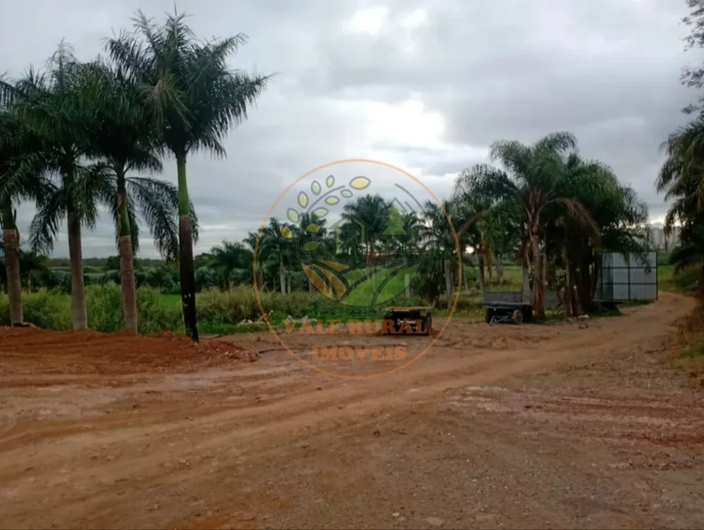 Fazenda - Foto 7