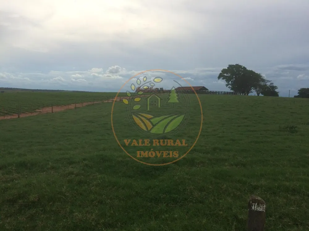 Fazenda, 1172 m² - Foto 10