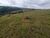 Fazenda, 5 m² - Foto 4