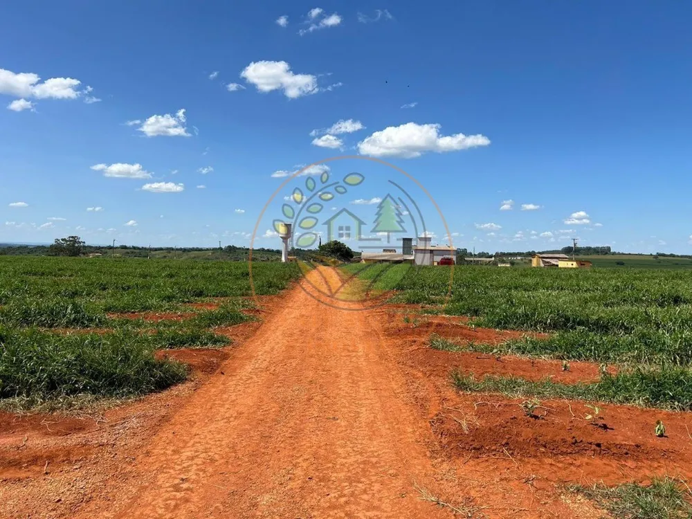 Fazenda - Foto 7