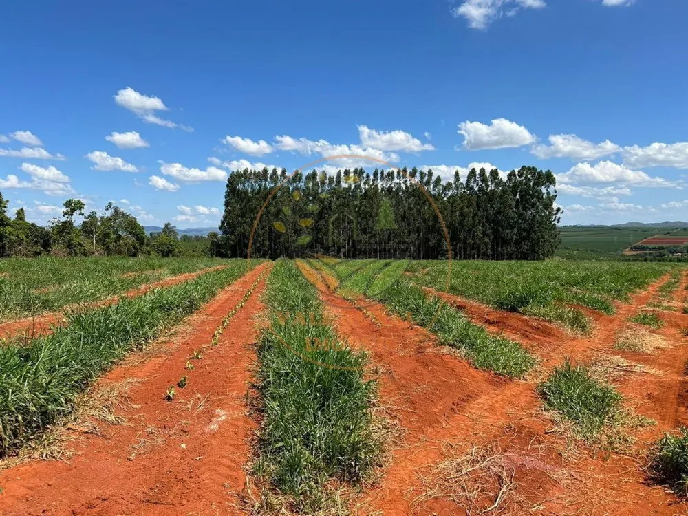 Fazenda - Foto 2