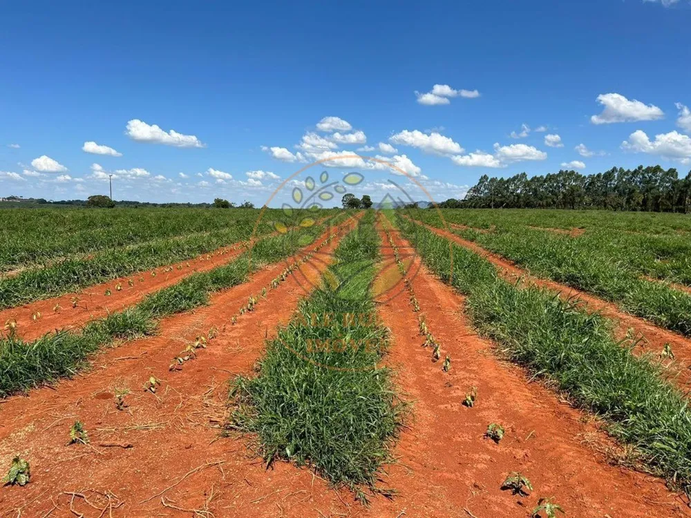 Fazenda - Foto 3