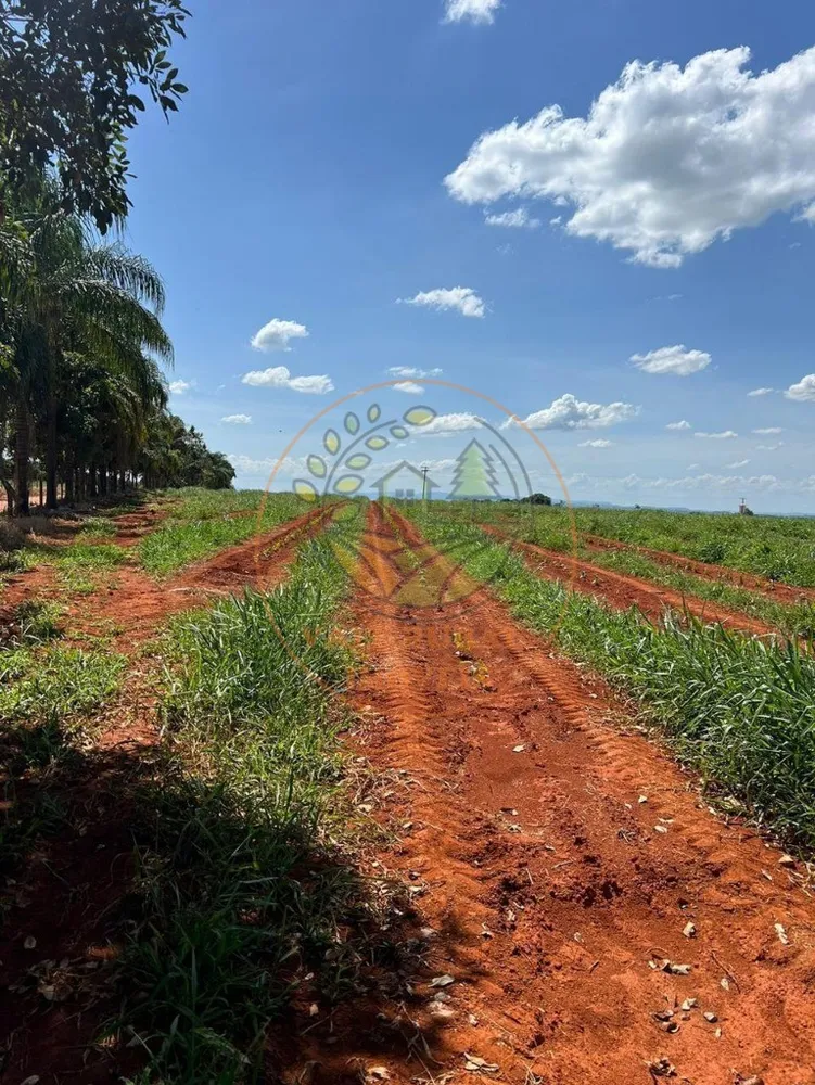 Fazenda - Foto 11