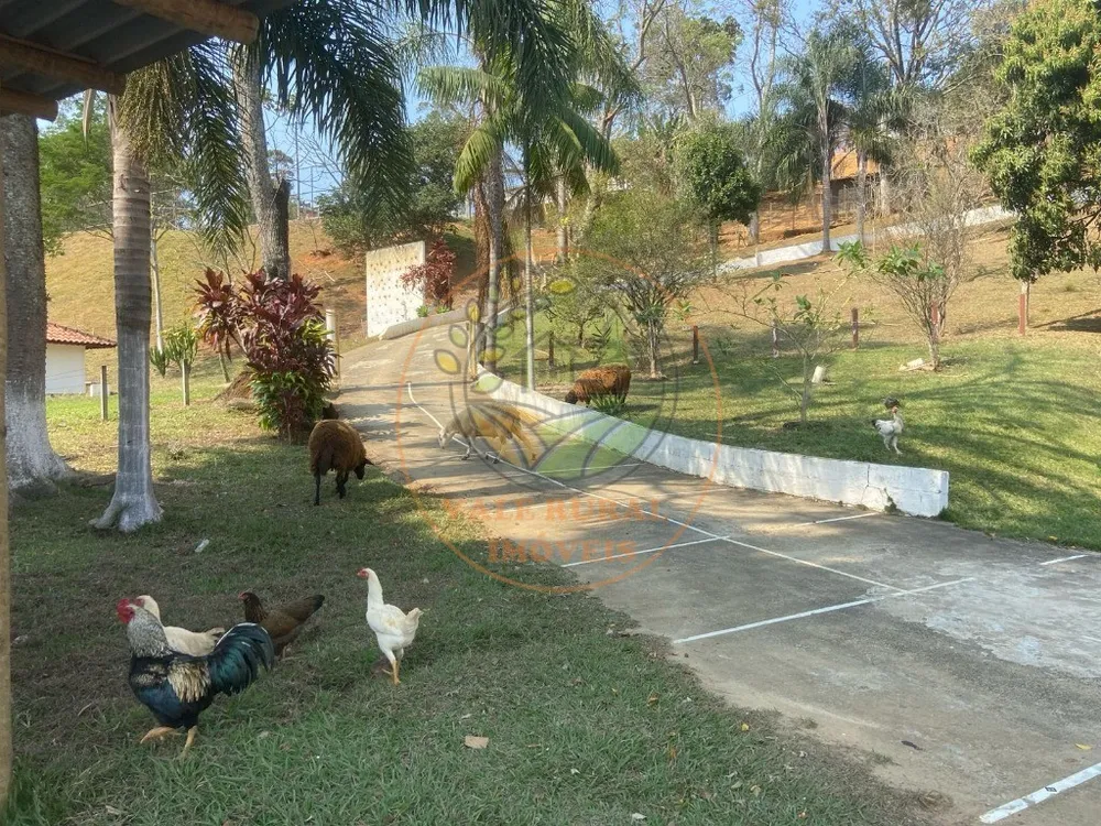 Sítio, 3 quartos, 28800 m² - Foto 5