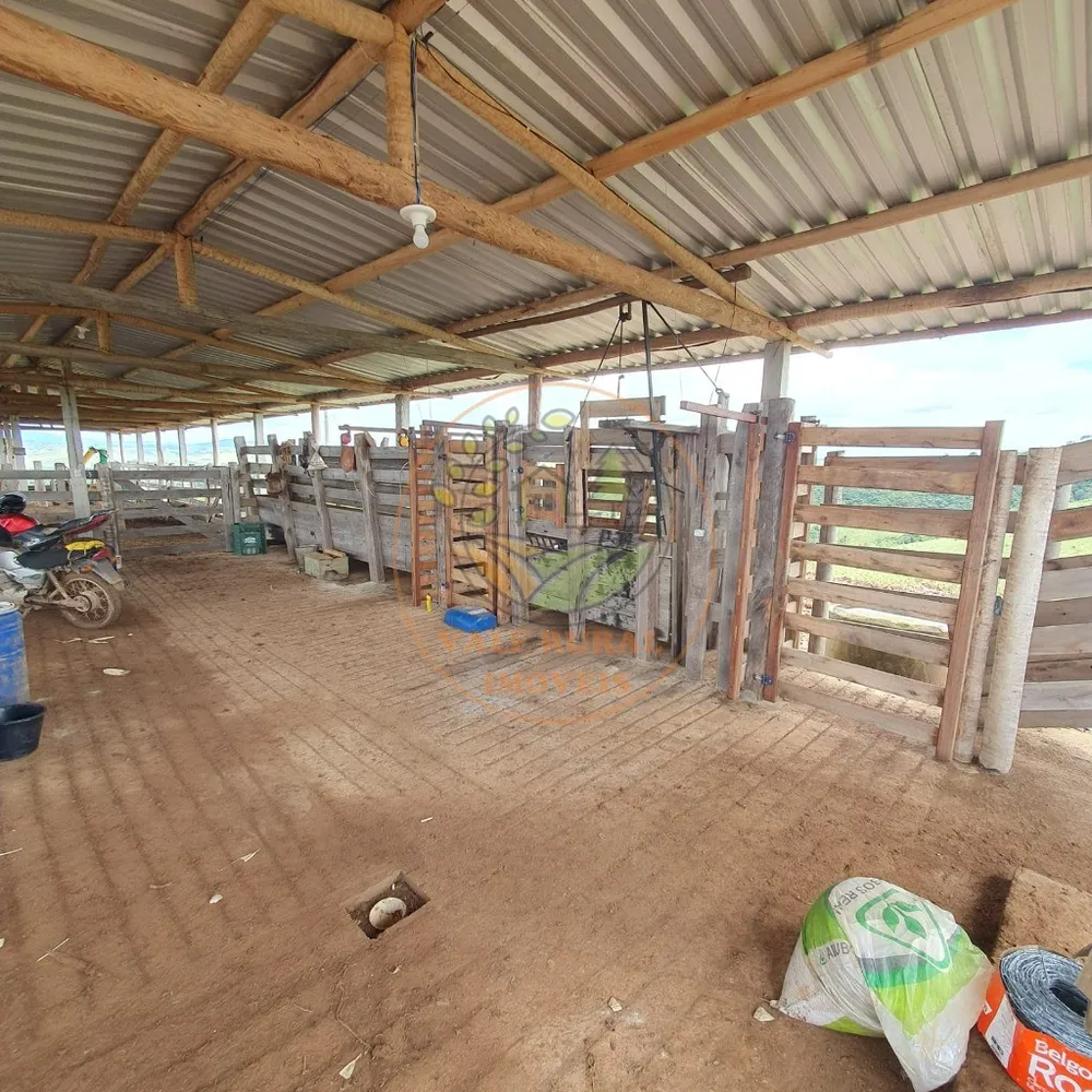 Fazenda - Foto 3