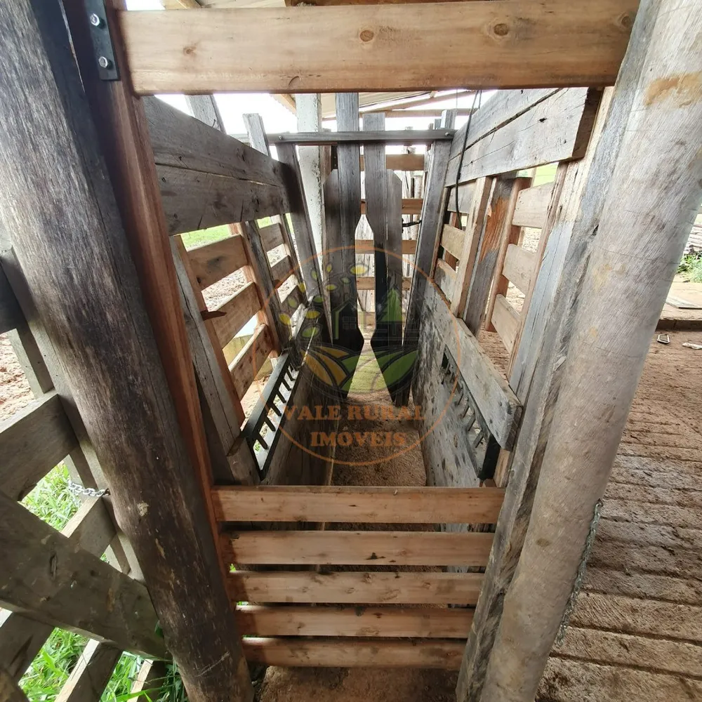 Fazenda - Foto 2