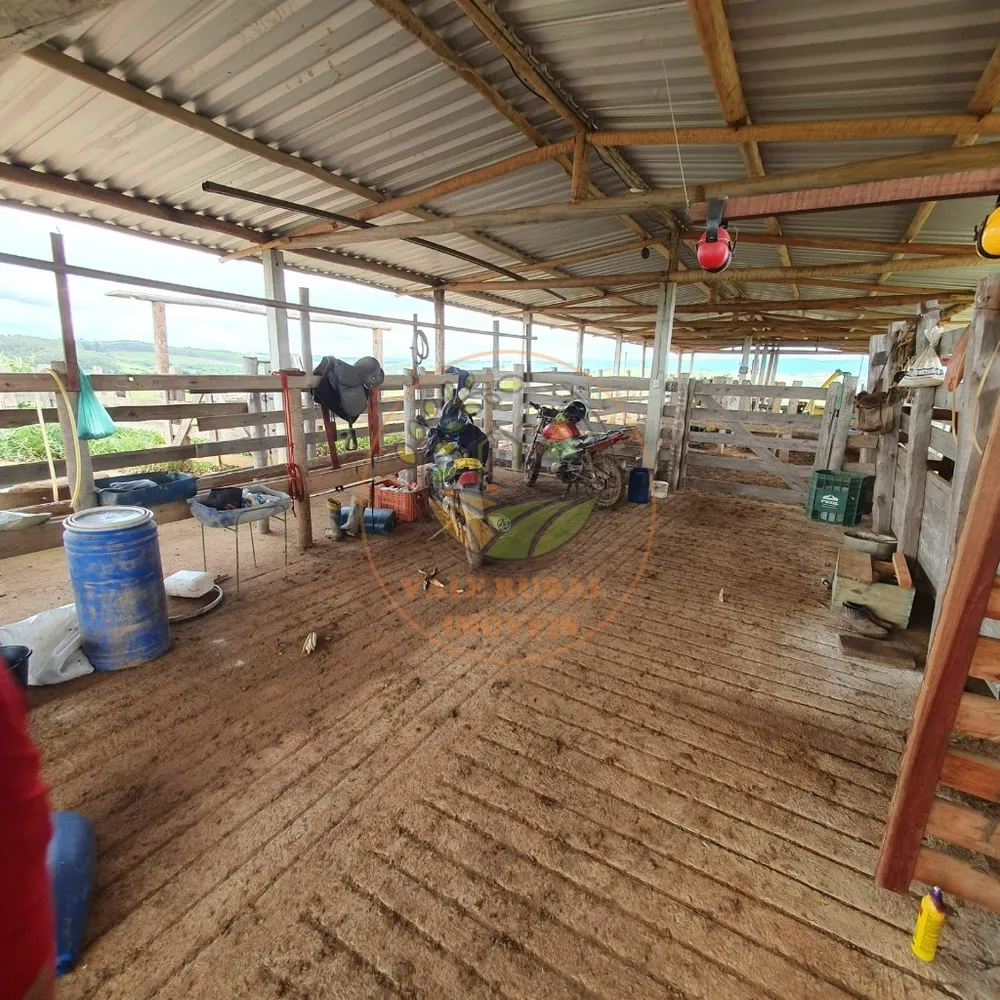 Fazenda - Foto 4