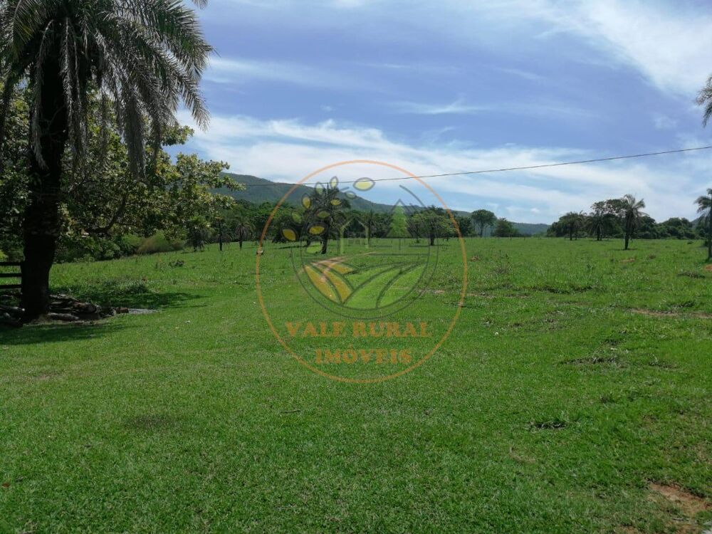 Fazenda - Foto 4