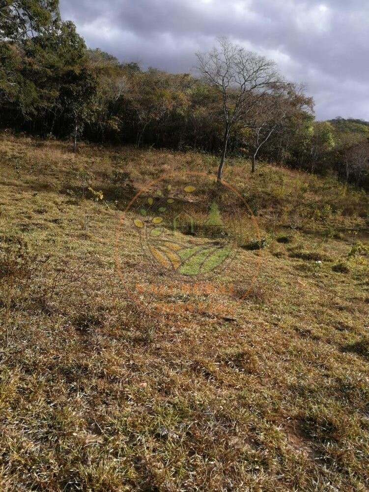 Fazenda - Foto 1