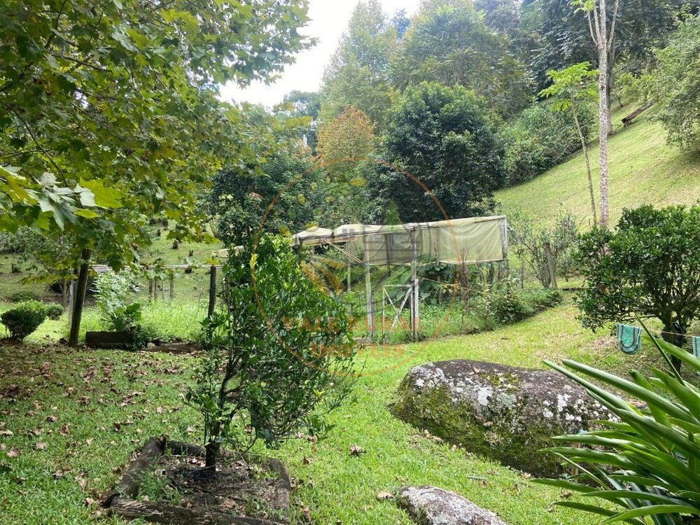 Sítio à venda com 2 quartos, 1m² - Foto 30