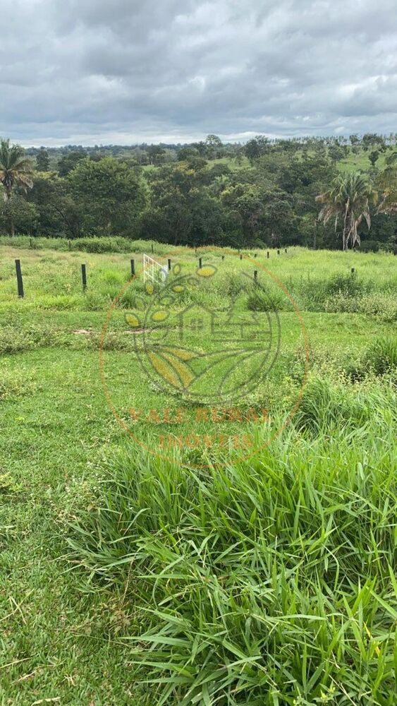 Fazenda à venda com 2 quartos, 296m² - Foto 1