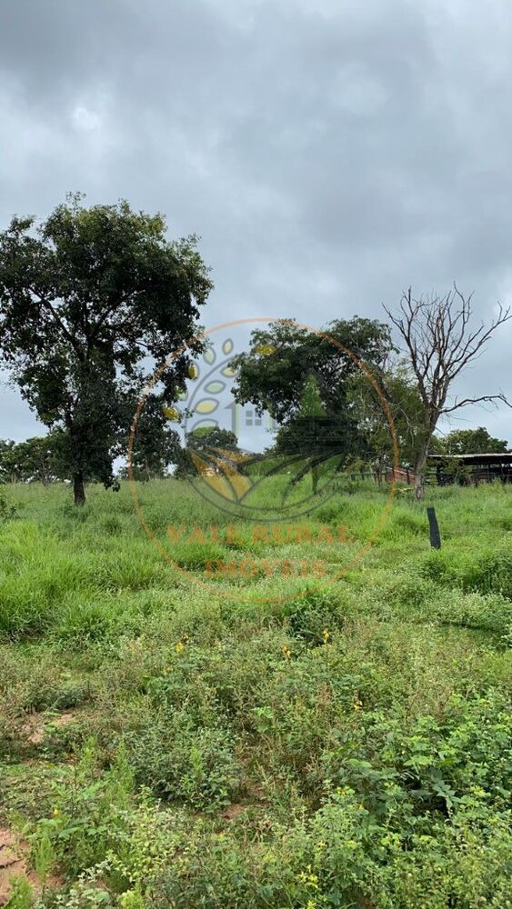 Fazenda à venda com 2 quartos, 296m² - Foto 4