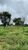 Fazenda, 296 m² - Foto 4