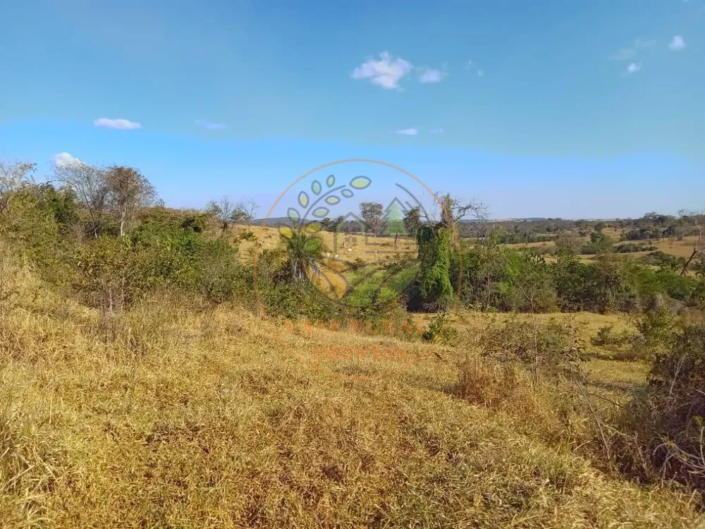 Fazenda - Foto 11