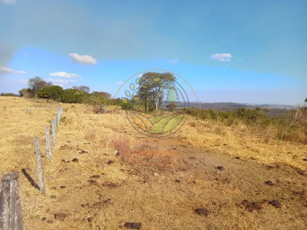 Fazenda - Foto 5