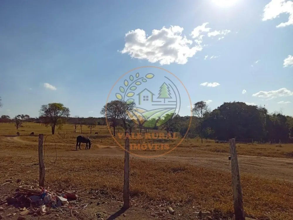 Fazenda - Foto 7