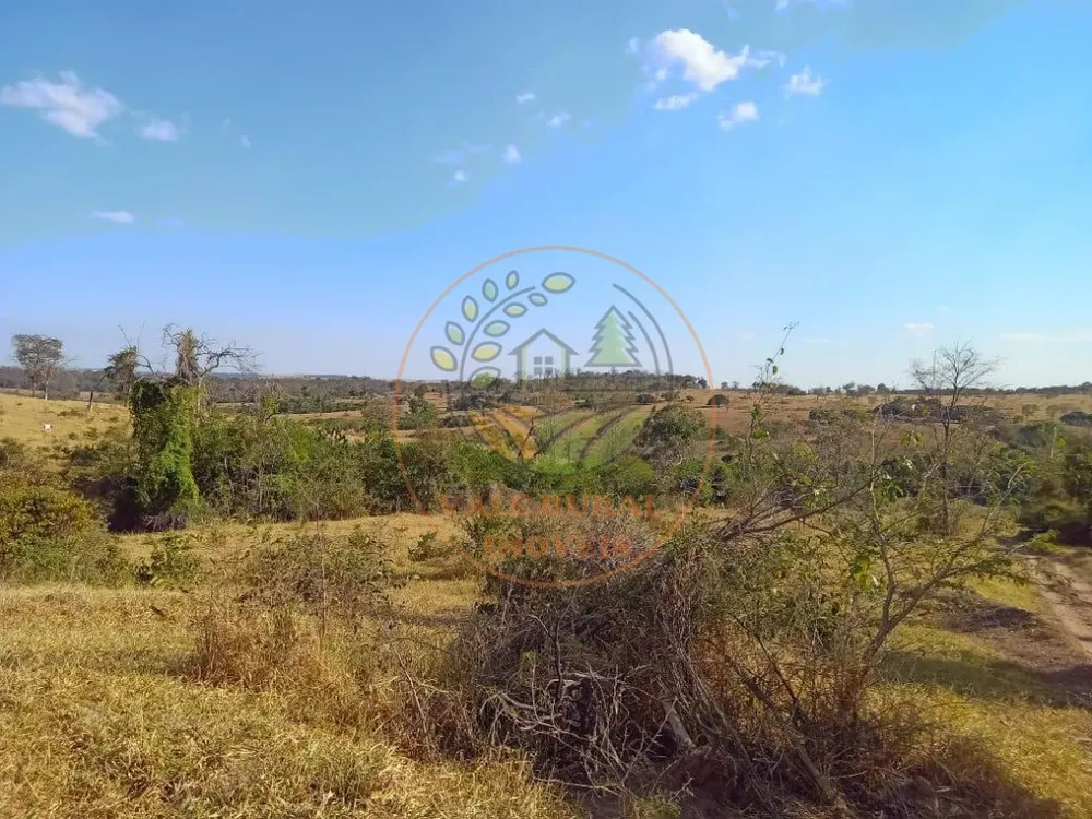 Fazenda - Foto 4
