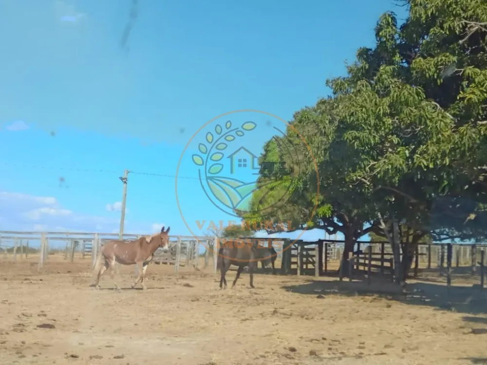Fazenda - Foto 8