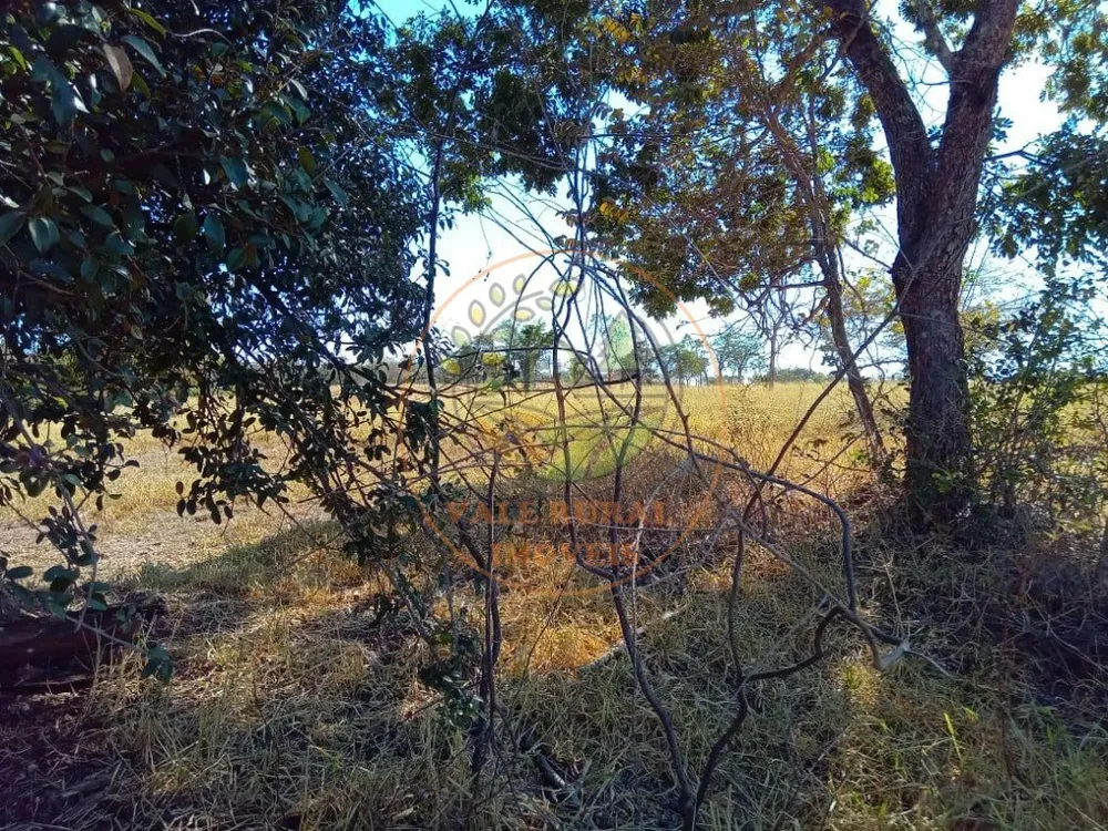 Fazenda - Foto 1