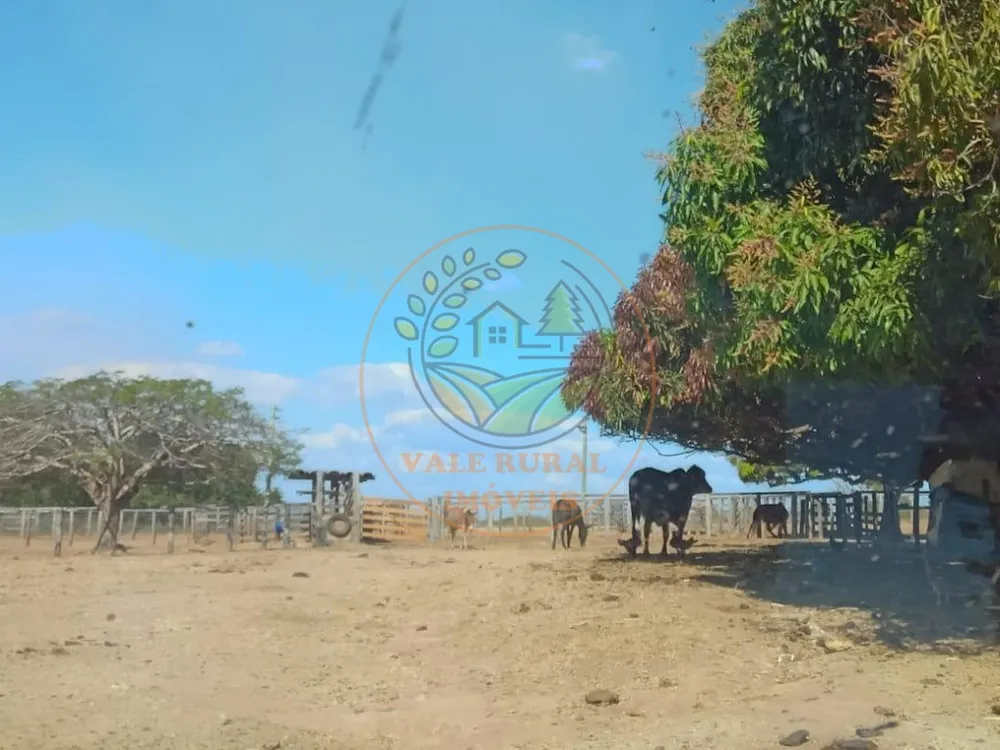 Fazenda - Foto 9