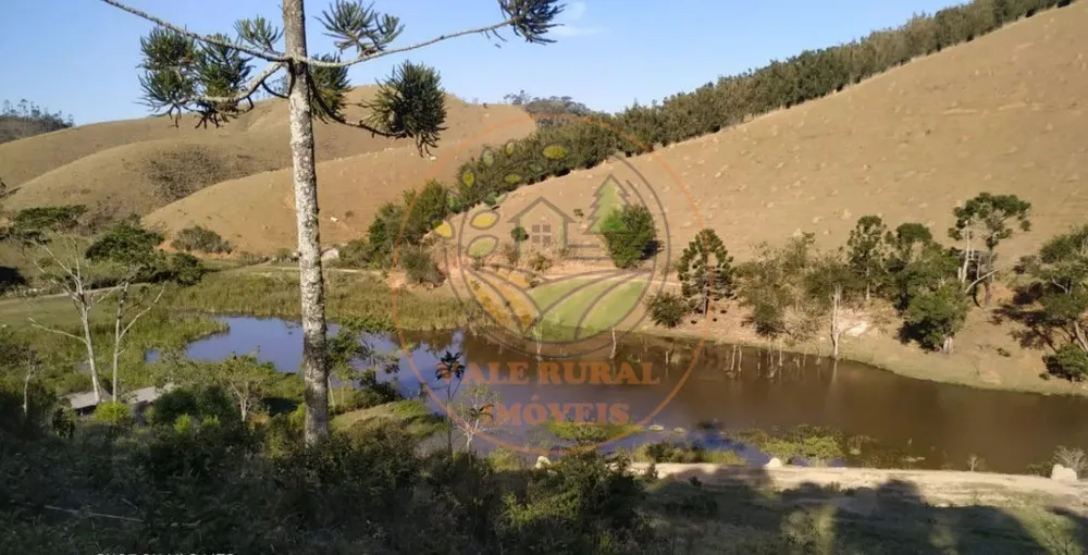 Fazenda - Foto 3