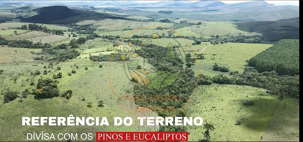 Fazenda - Foto 1