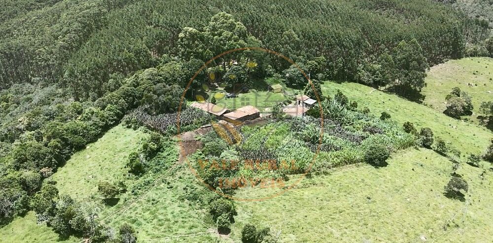 Fazenda - Foto 4