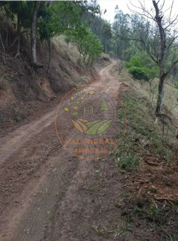 Fazenda - Foto 6