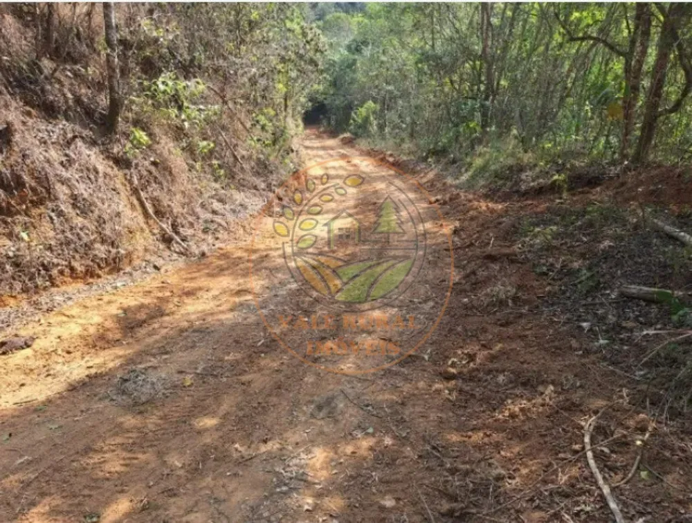 Fazenda - Foto 3