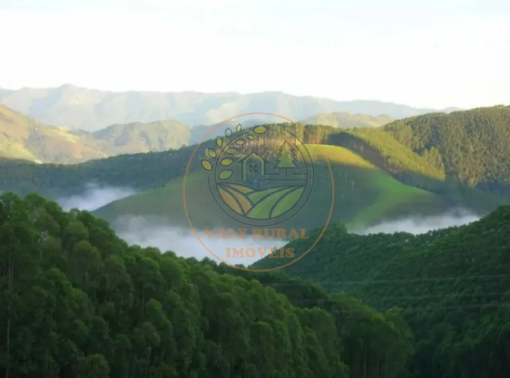 Fazenda - Foto 1