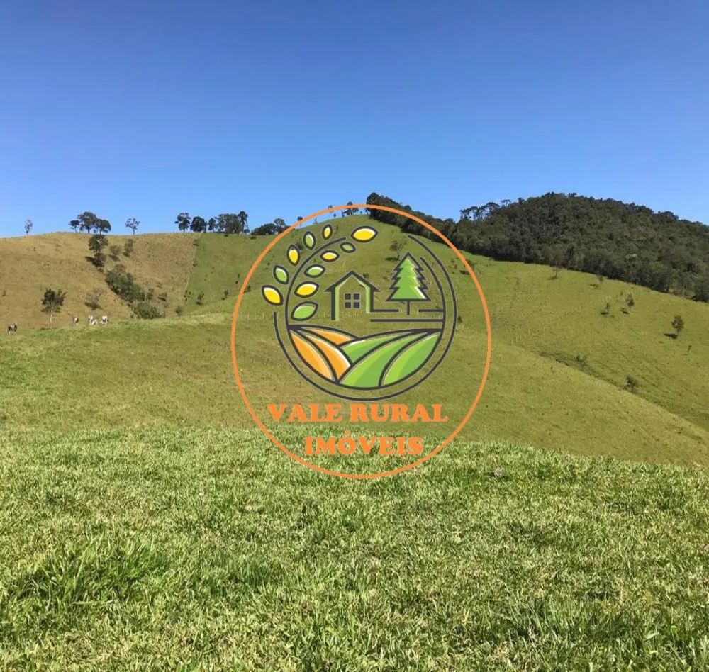 Fazenda, 16 hectares - Foto 6