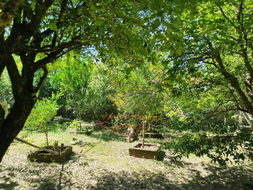 Chácara, 3 quartos - Foto 2