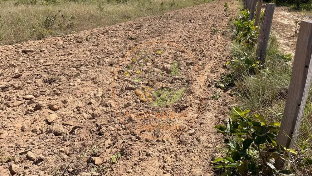 Fazenda, 3 quartos - Foto 2