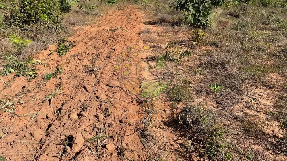Fazenda, 3 quartos - Foto 8