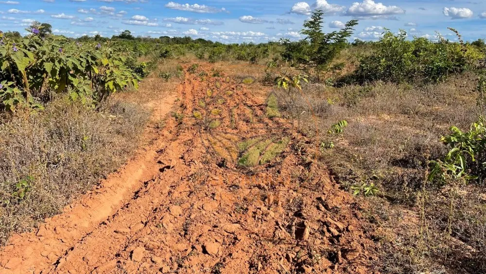 Fazenda, 3 quartos - Foto 5