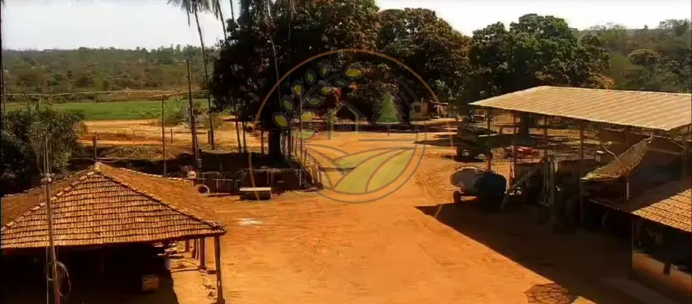 Fazenda - Foto 8