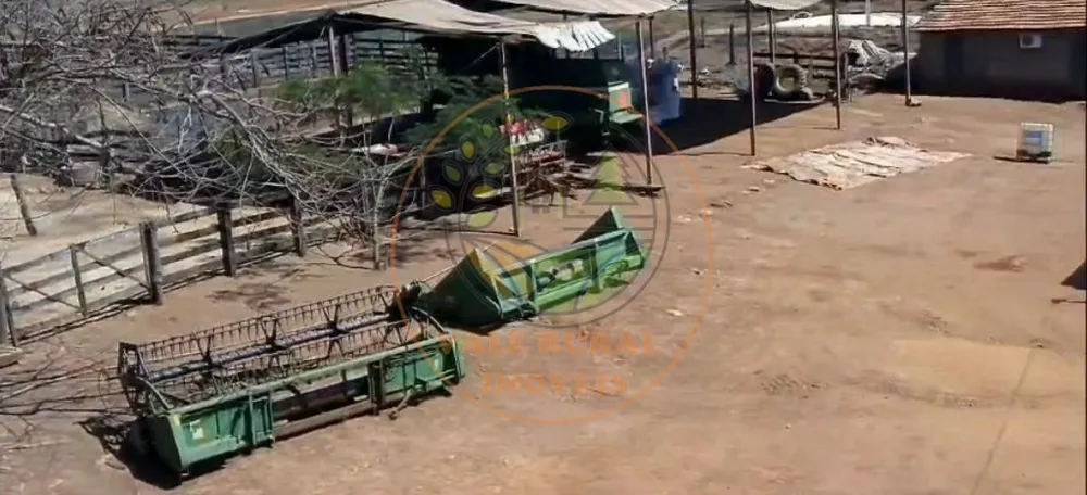 Fazenda - Foto 5