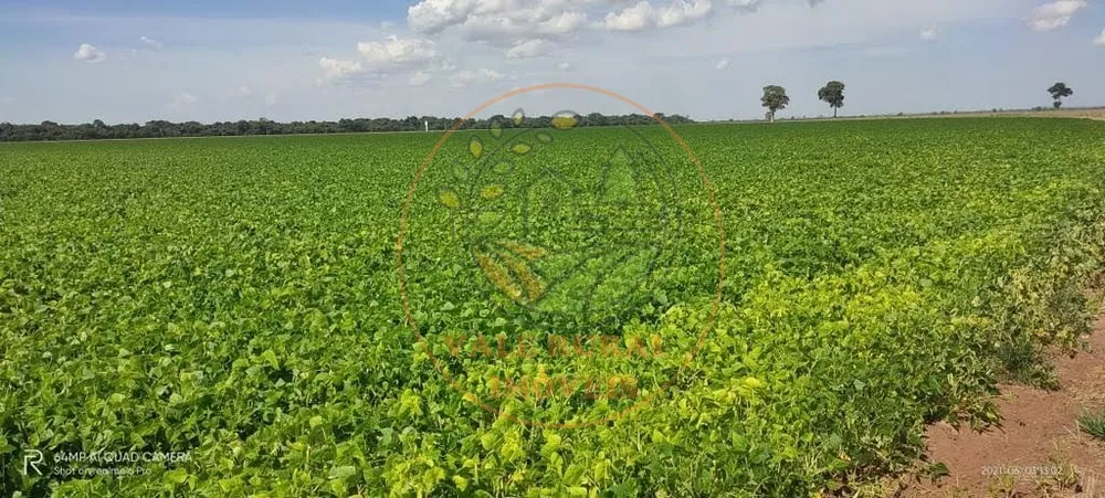 Fazenda - Foto 8