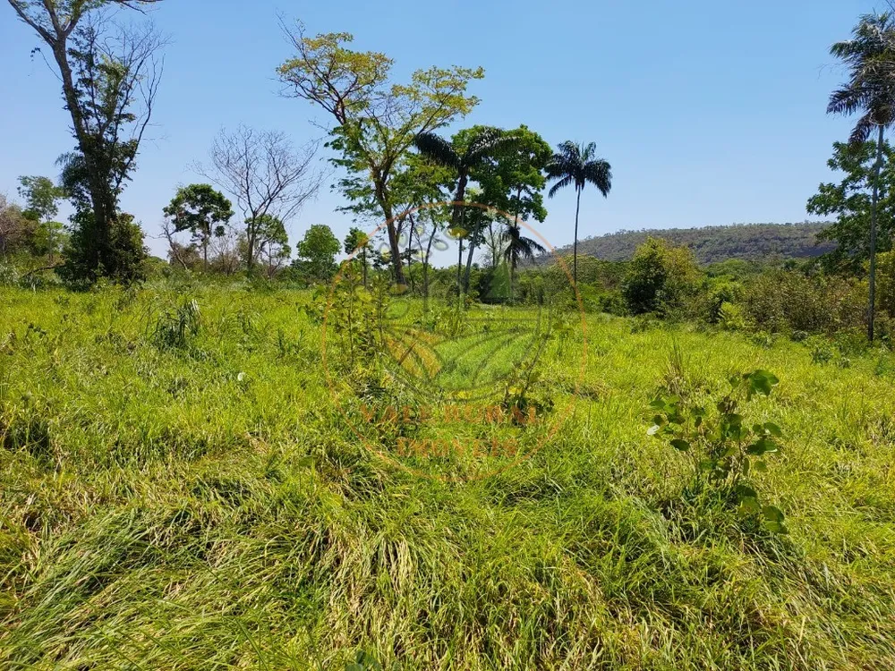 Fazenda - Foto 8