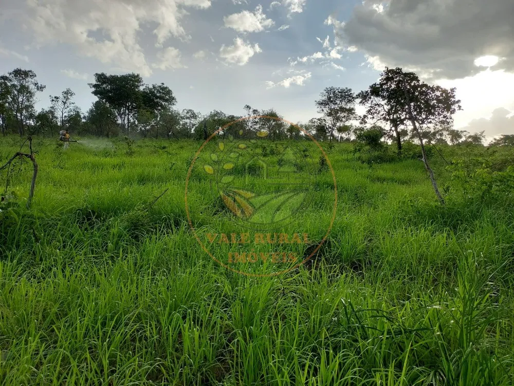 Fazenda - Foto 6