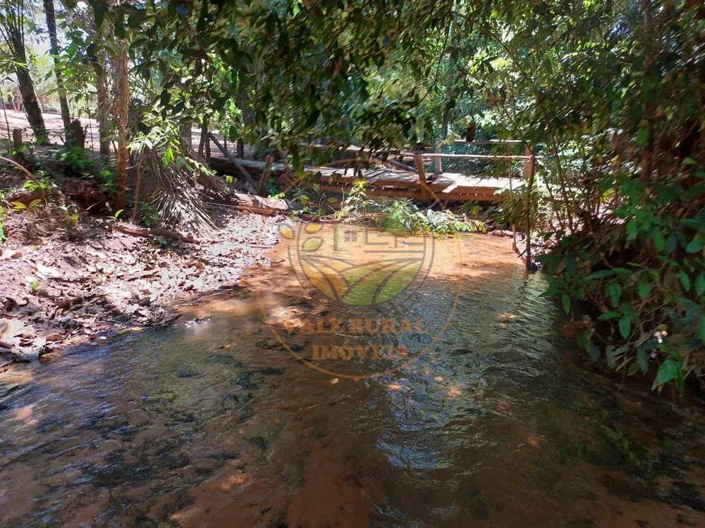Fazenda - Foto 6